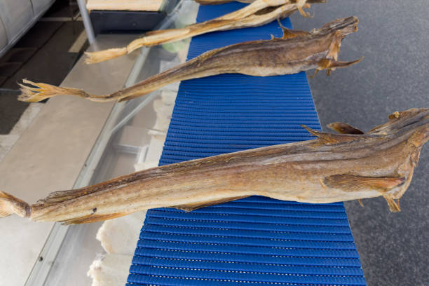 Carcasses of the dried cod without heads on a coastal retail fish market outdoors