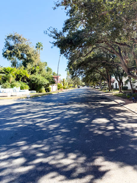 istock Typical residential street in Texas 2190414608