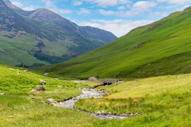 B5289 road with bridge and stream from Honister Pass in the Lake District, Cumbria, UK surrounded by green mountains with pasture and fields of fern