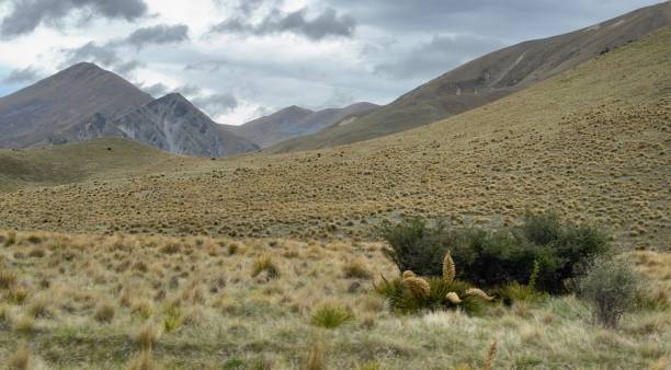 istock Lindis Pass, New Zealand 2190416568
