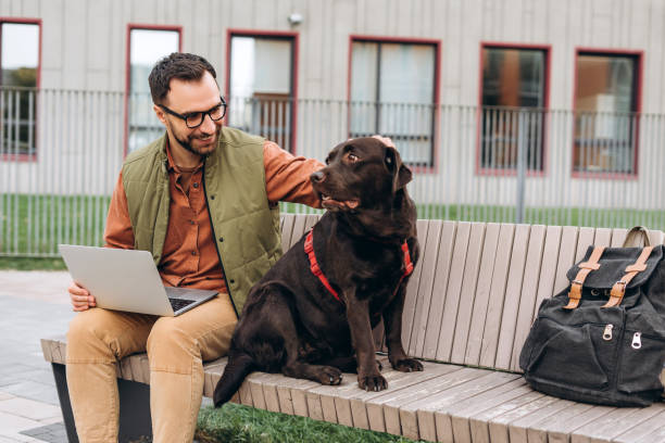istock Smiling, happy Hispanic man, freelancer using laptop, petting beautiful black dog, labrador 2190417963