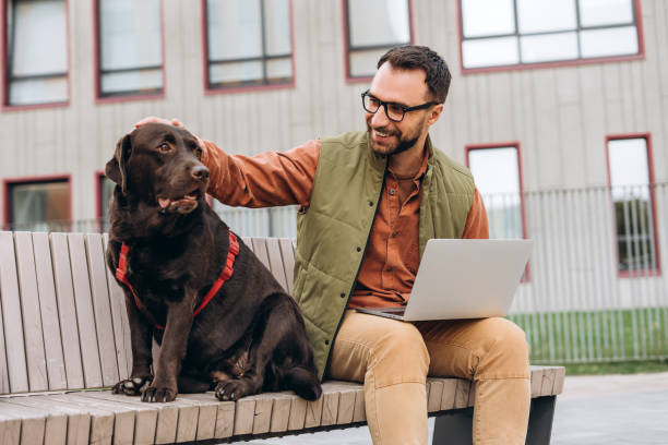 istock Latin man, freelancer in stylish eyeglasses using laptop, student studying sitting on bench 2190417965