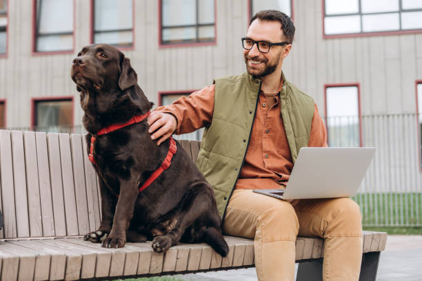 istock Smiling, happy bearded man freelancer wearing casual clothes and stylish eyeglasses using laptop 2190417981