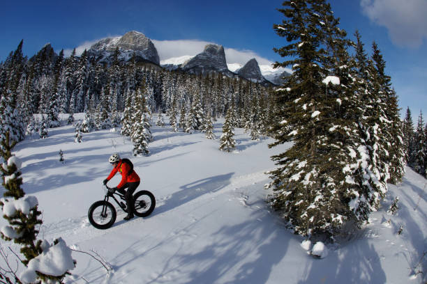 istock Rocky Mountain Winter Fat Bike Ride 2190424057