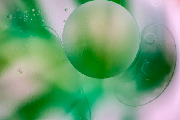 Green Abstract Background with Oil Bubbles in Water