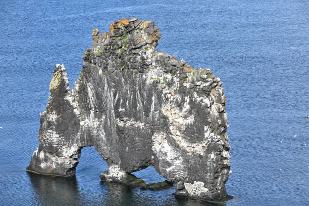 istock Rock Hvitserkur, Iceland 2190430904