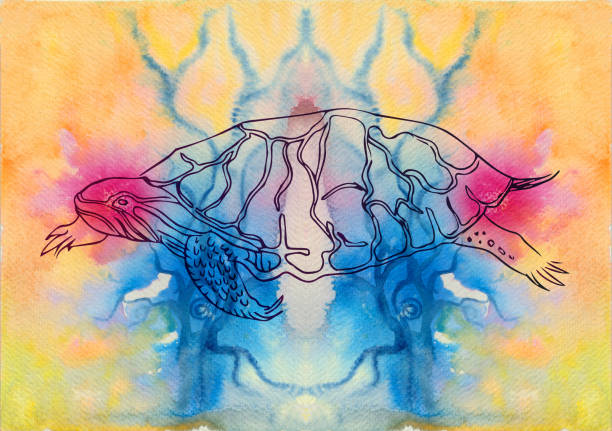 Turtle Taking Off Its Shell 20+ Turtle Coming Out Of Shell Stock Illustrations, Royalty-Free Vector ...