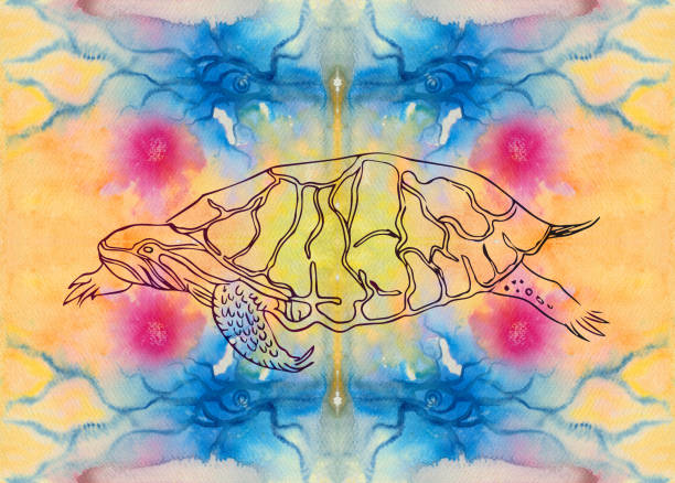 Creative Turtle Shell Drawing 3,000+ Turtle Shell Designs Drawings Stock Illustrations, Royalty-Free ...