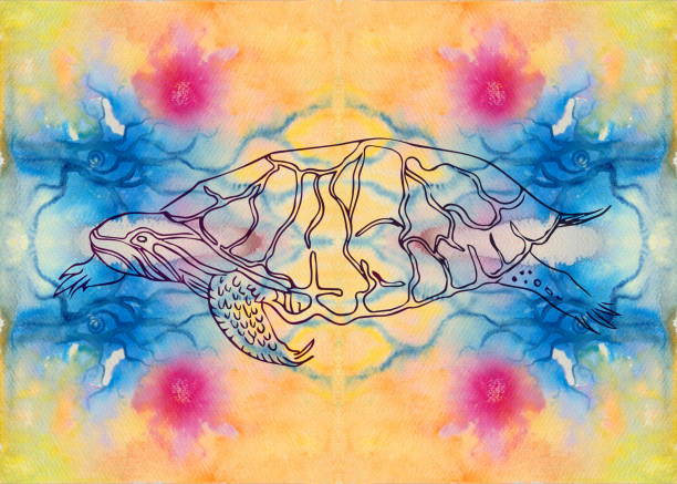 Turtle Taking Off Its Shell 20+ Turtle Coming Out Of Shell Stock Illustrations, Royalty-Free Vector ...