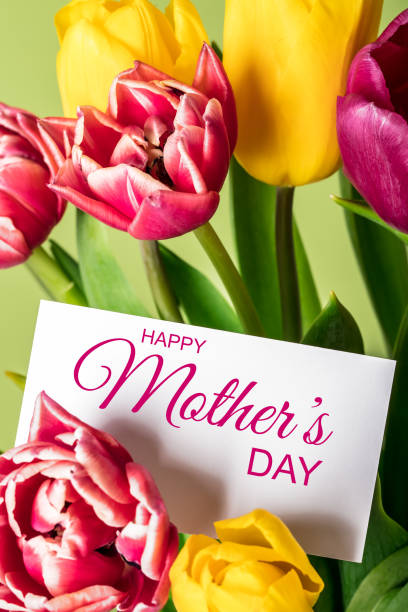 istock Happy Mother's Day - tulips with a greeting card 2190446870