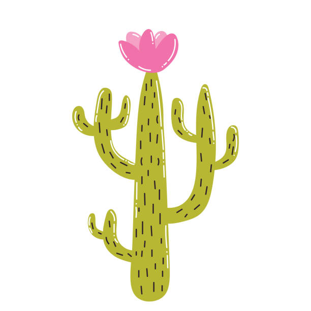 Cute cartoon blooming cactus in flat style. Tropical summer plant with flower isolated on white background.