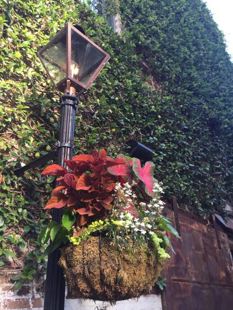 istock Charleston Street Lamp Floral 2190448247