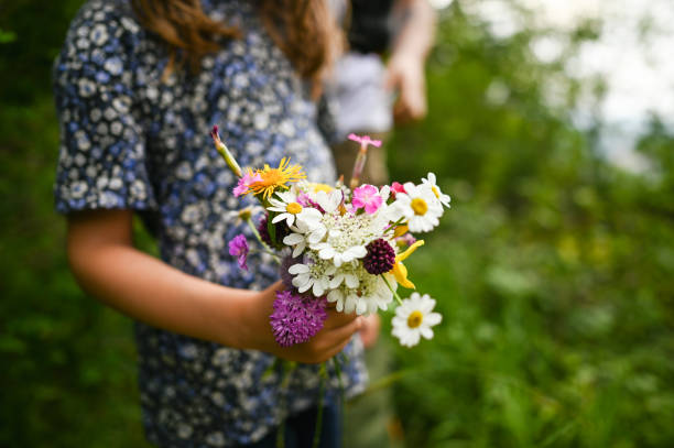 Close up of wildflowers.