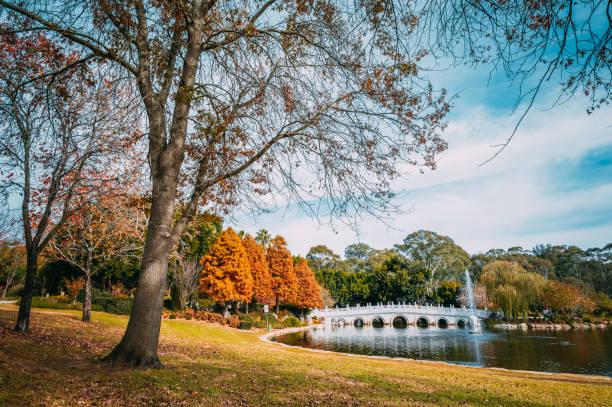 istock Located within Nurragingy Reserve, Doonside, this exquisite garden was cooperatively designed and constructed by Blacktown City Council and Liaocheng Municipal Government in China 2190450114