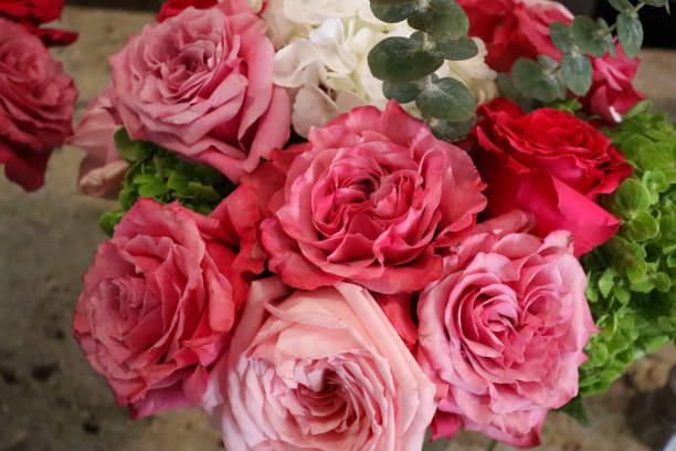 istock A vibrant bouquet showcasing lush pink and red roses mixed with white hydrangeas and green accents, creating a romantic and elegant floral arrangement perfect for any occasion. 2190450973