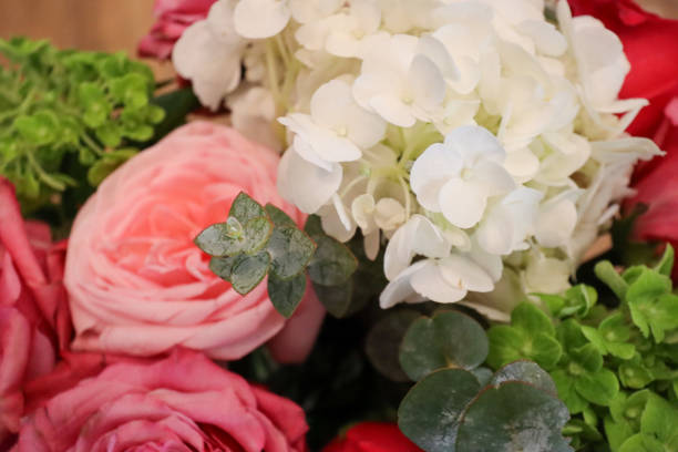 istock A delicate flower arrangement featuring pink roses, white hydrangeas, and lush greenery, highlighted by fresh eucalyptus leaves, creating a natural and elegant floral design. 2190453115