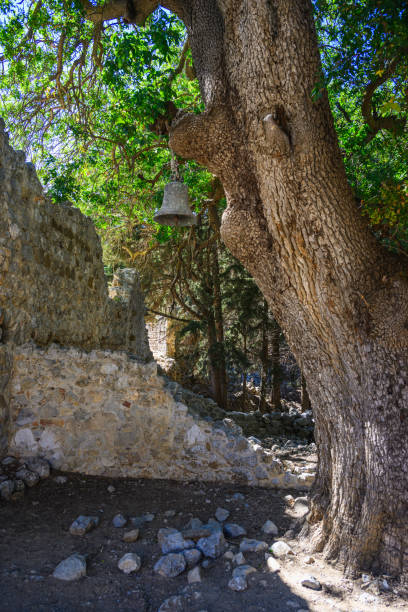Ancient Greek ruins and tree, Asklepieion, Kos