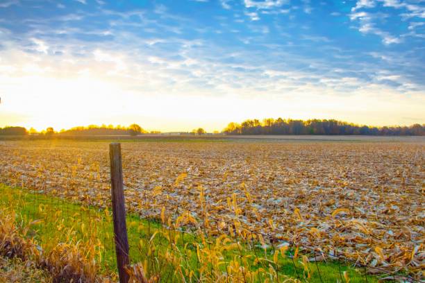 Farm land in Southern Ontario, Canada