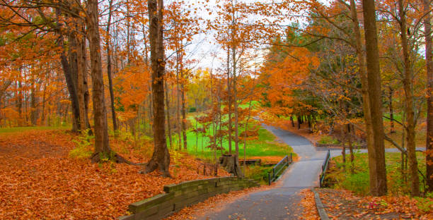istock Fall Leaf color with road and bridge-Howard County, Indiana 2190453735