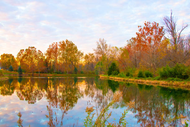 Fall Leaf colors reflected in a small lake-Howard County, Indiana
