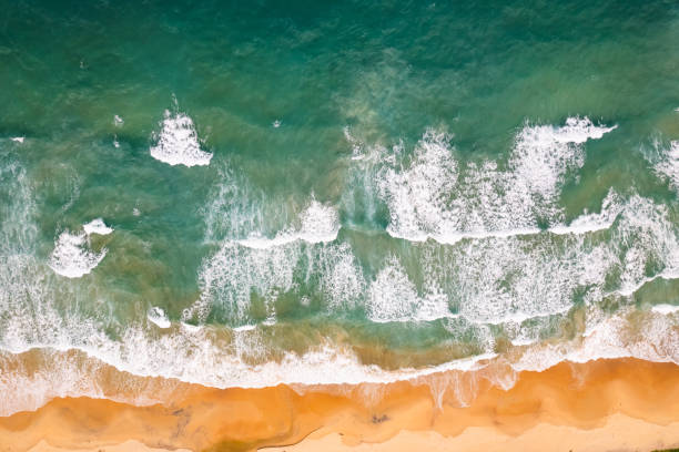 istock Top view beach with waves crashing on sandy shore,Beautiful waves sea surface in summer seascape background,Amazing beach colorful water background 2190454985