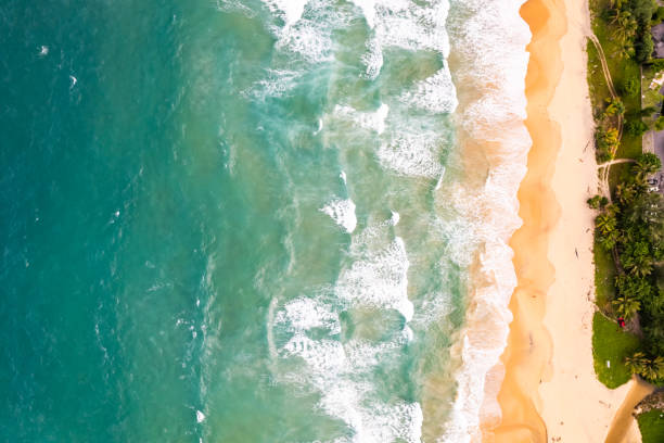 istock Top view beach with waves crashing on sandy shore,Beautiful waves sea surface in summer seascape background,Amazing beach colorful water background 2190454993