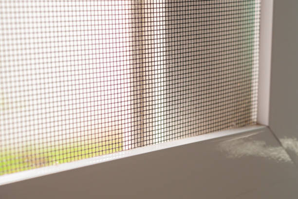 istock mosquito net wire screen on house window protection against insect 2190458278