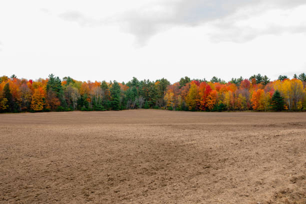 Farm land in Ontario, Canada in September