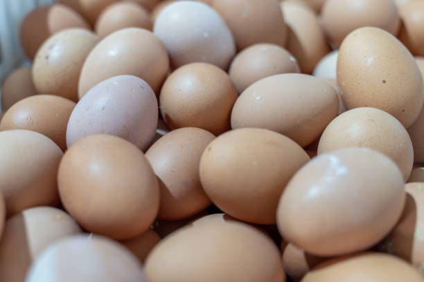 A lot of eggs in neat white boxes