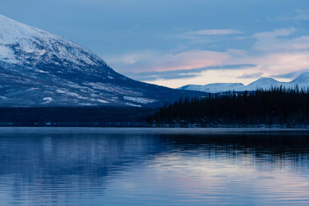 istock Pine Lake at dawn, Yukon 2190478425