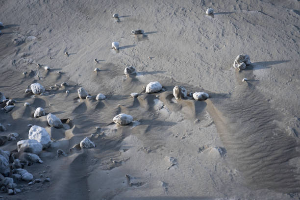 Sand and snowy rocks at Destruction Bay in winter, Kluane Lake, in Kluane National Park, Whitehorse, Yukon, Canada