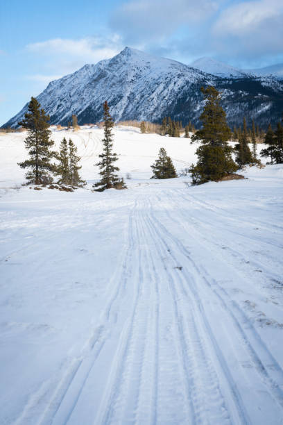 istock Snow and sand at Carcross Desert, Yukon 2190478440