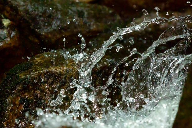 The beauty of Alaska’s rivers can be seen from its rocky banks.