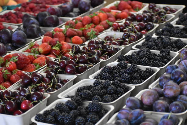 Bright colored cherries, blackberries, plums strawberries and raspberries