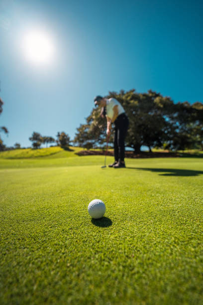Asian female golfer wearing a polo shirt skillfully putts on a vibrant green golf course using a putter. Under the sunlit sky, she enjoys a serene sporting moment in a scenic outdoor setting.