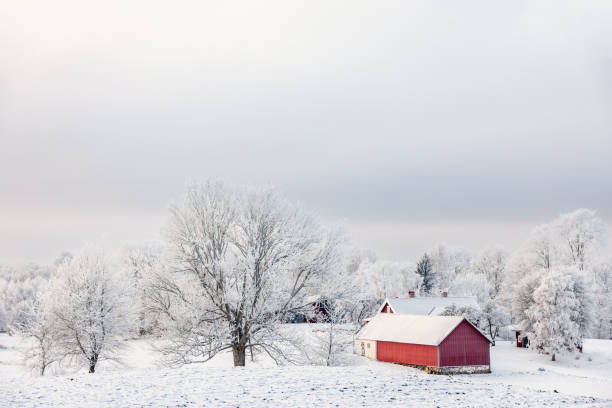 istock Red barn in a frosty winter landscape 2190491451