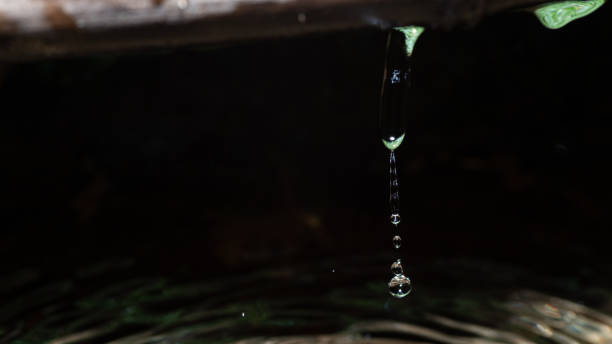 istock Beautiful green water droplets 2190493853