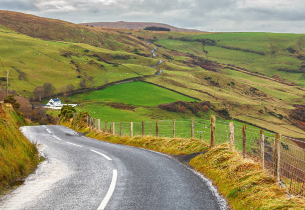 A winding road stretches through lush green hills in a rural countryside setting. A white farmhouse is nestled among the fields, with grazing sheep dotting the landscape under a cloudy sky.