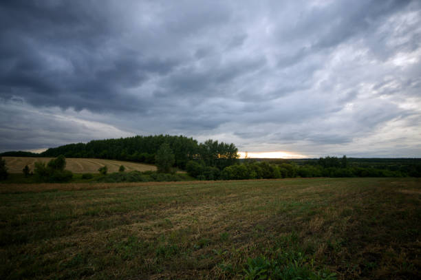 istock Field after harvesting grain on a cloudy day 2190499547