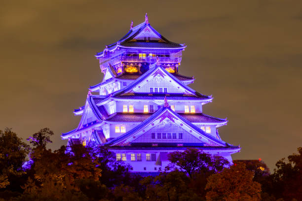 Osaka, Japan - 21 November 2024: Osaka Castle at autumn night