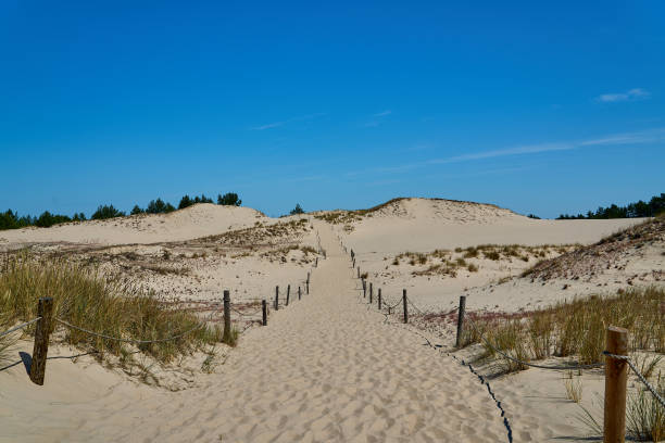 istock Sand dune at a beautiful beach in Slowinski National Park. 2190503436
