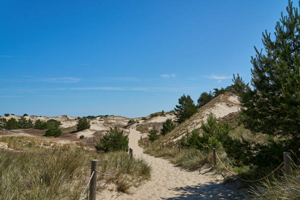 istock Sand dune at a beautiful beach in Slowinski National Park. 2190503520
