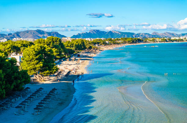 pláž playa de muro - mallorca - stock snímky, obrázky a fotky
