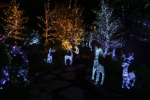 istock LED lighting decorate in garden with Christmas theme 2190504526