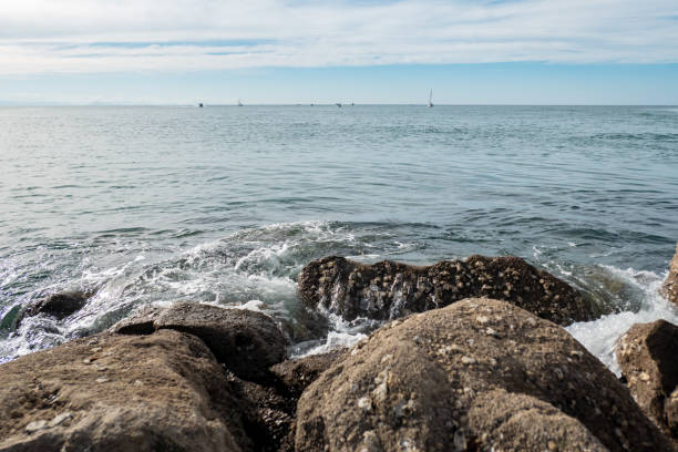 istock Rocks by the sea 2190514401