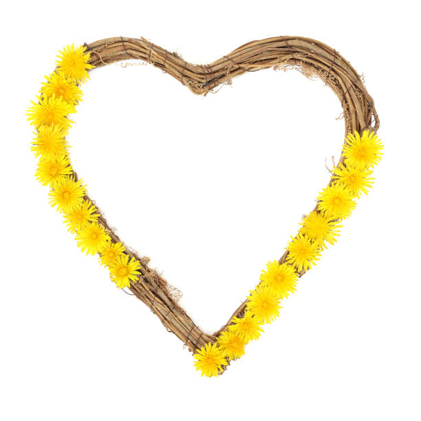Spring Beltane heart shape woven wreath on white background. Symbol of love for Valentines Day, Mothers Day, birthday, wedding or anniversary greeting card.