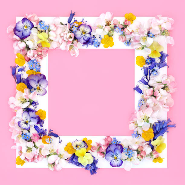 istock Beautiful Spring Beltane Floral Background Border Frame 2190517112