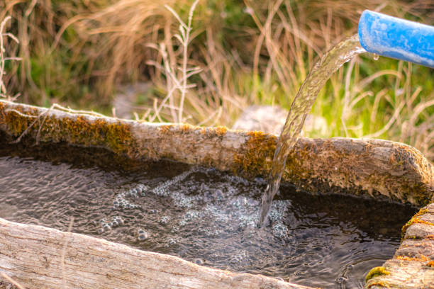 istock Flowing water and the natural surroundings. 2190519950