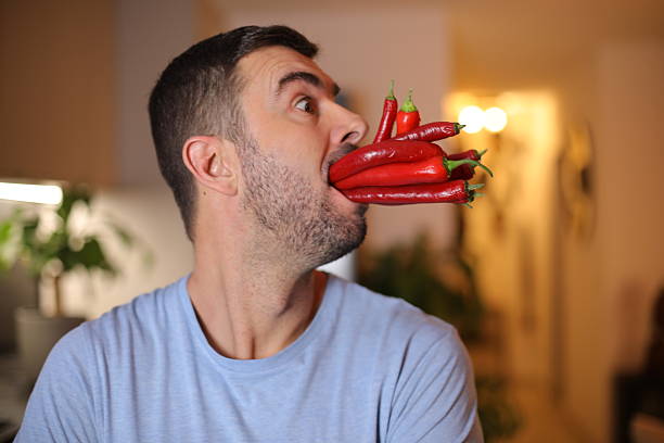 Man holding many spicy peppers in his mouth stock photo