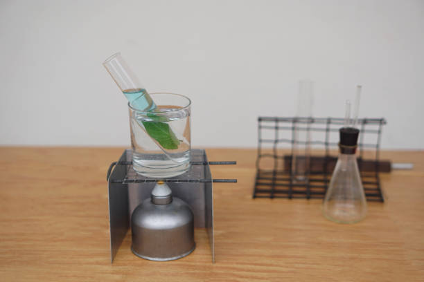 Science experiment about extract                                chlorophyll by boiling leaf in test tube glass. Concept, easy educational lesson in science subject.